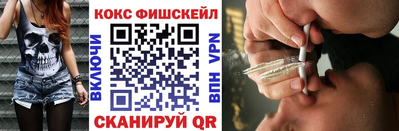 Купить закладки  Камень-на-Оби  КОКАИН FishScale 