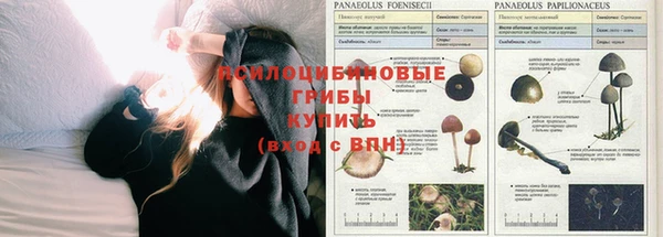амф Вяземский