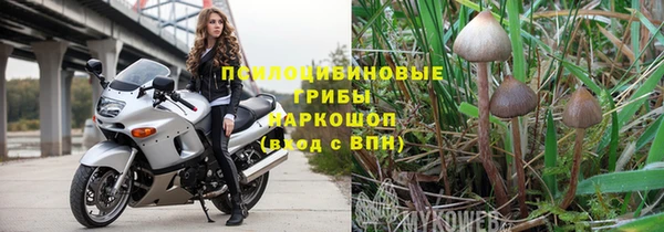 амф Вяземский