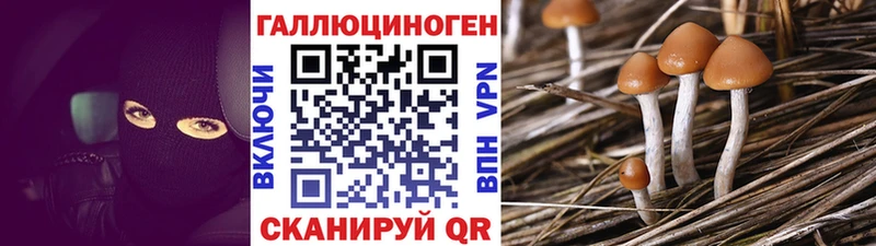 Купить  Камень-на-Оби  Галлюциногенные грибы прущие грибы 
