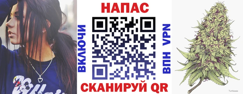 Конопля планчик  Купить закладки  Камень-на-Оби 